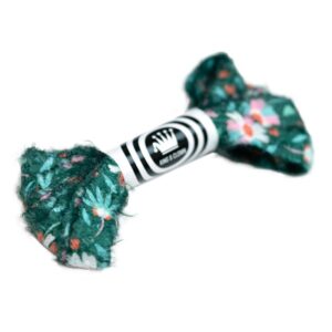 Cordones Planos Estampados Flores Verde