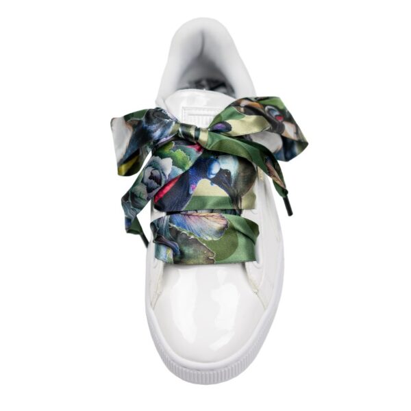 Cordones Planos Estampados Raso Pajaros